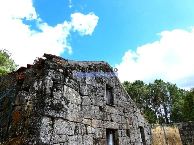 Terreno Misto para Venda em Baião (Santa Leocádia) e Mesquinhata Foto 4