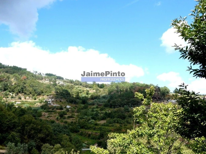 Terreno Misto para Venda em Baião (Santa Leocádia) e Mesquinhata Foto 6