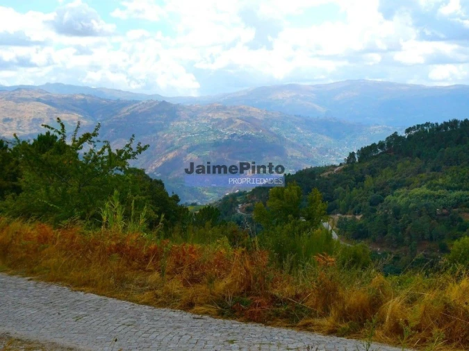 Terreno Misto para Venda em Baião (Santa Leocádia) e Mesquinhata Foto 8