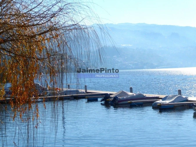 Terreno Misto para Venda em Baião (Santa Leocádia) e Mesquinhata Foto 9