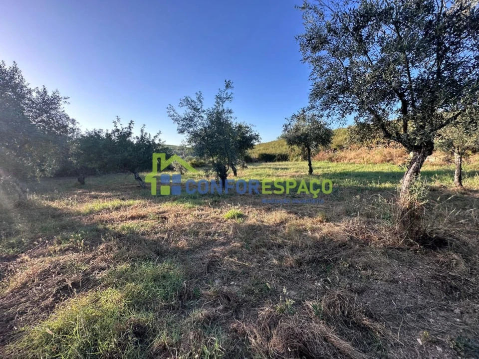 Quinta T1 para Venda em Salgueiro do Campo Foto 33