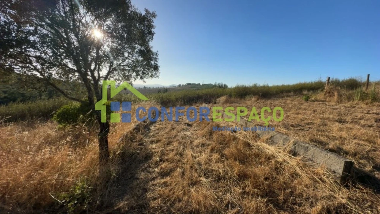 Quinta T1 para Venda em Salgueiro do Campo Foto 40