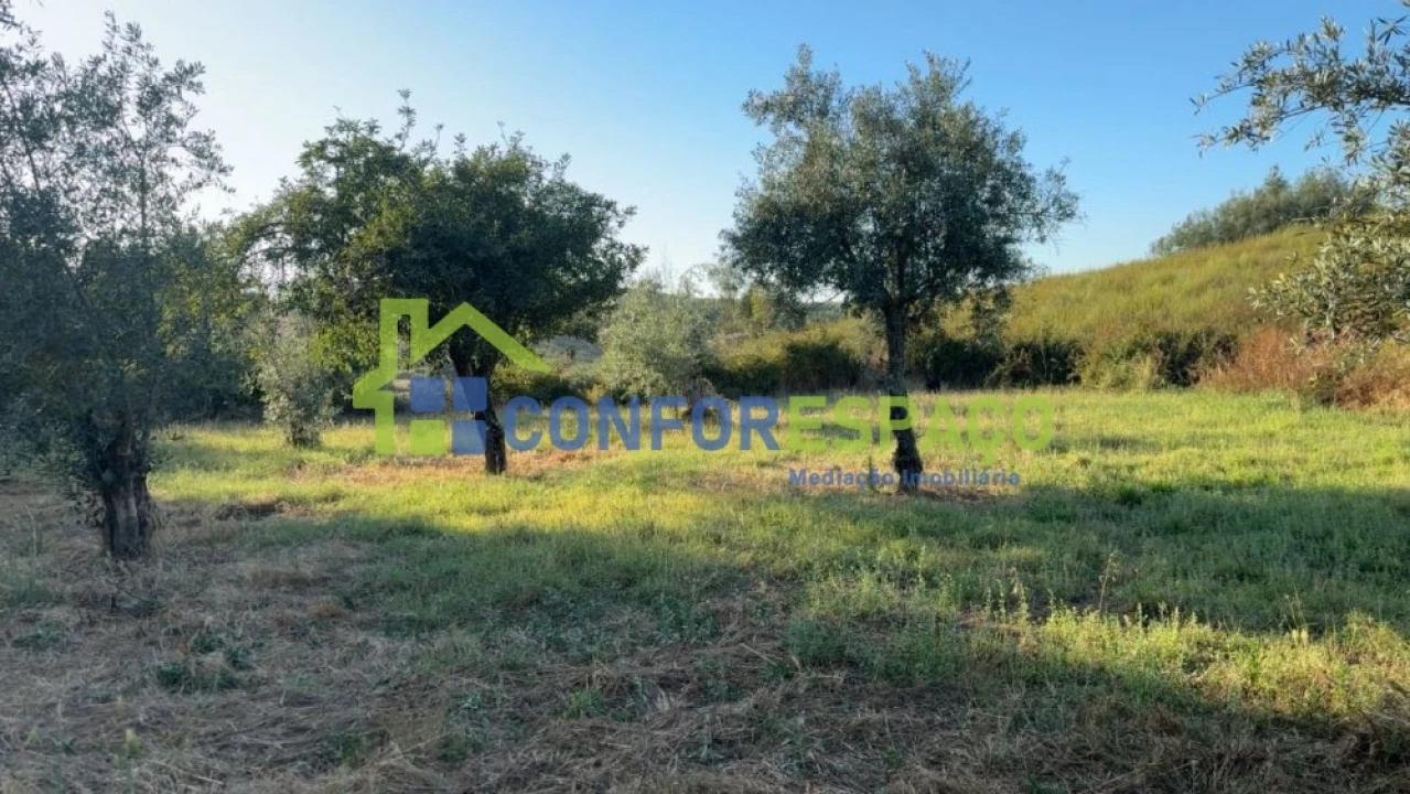 Quinta T1 para Venda em Salgueiro do Campo Foto 43