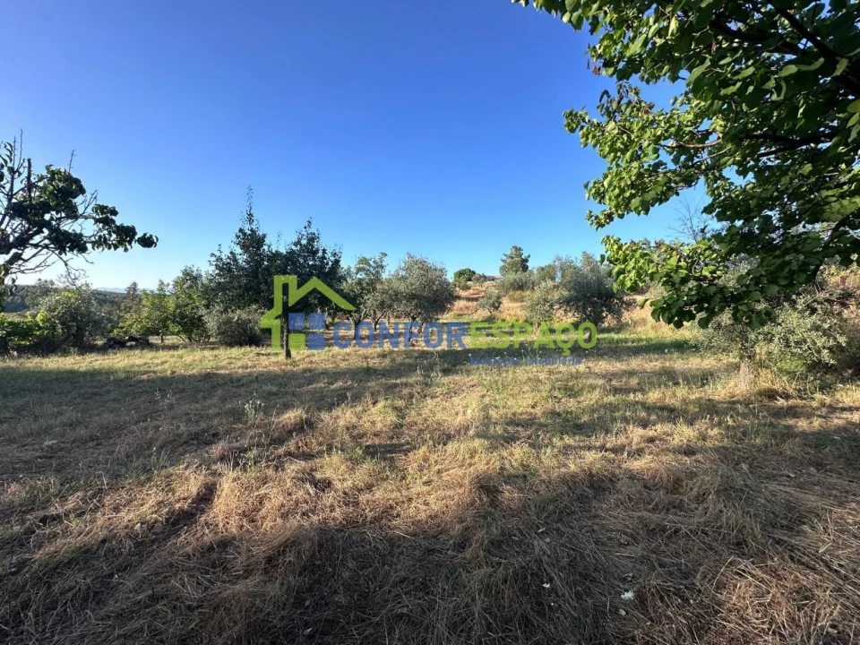 Quinta T1 para Venda em Salgueiro do Campo Foto 39