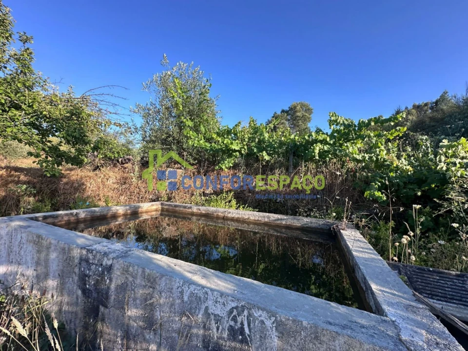 Quinta T1 para Venda em Salgueiro do Campo Foto 19