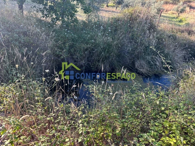 Quinta T1 para Venda em Salgueiro do Campo Foto 27