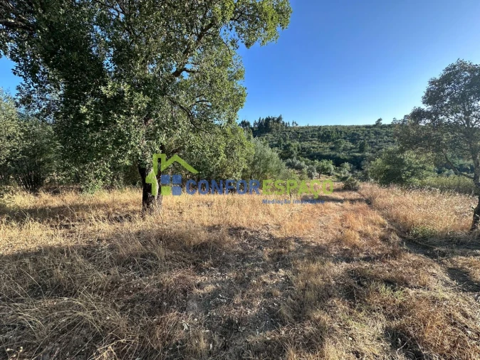 Quinta T1 para Venda em Salgueiro do Campo Foto 36