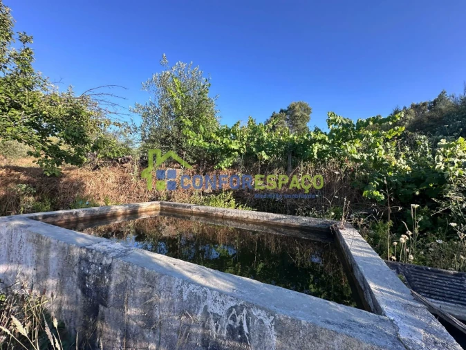 Quinta T1 para Venda em Salgueiro do Campo Foto 19