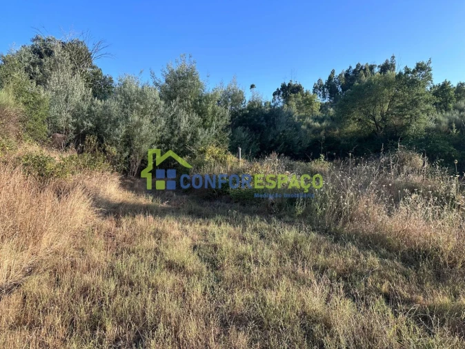 Quinta T1 para Venda em Salgueiro do Campo Foto 48