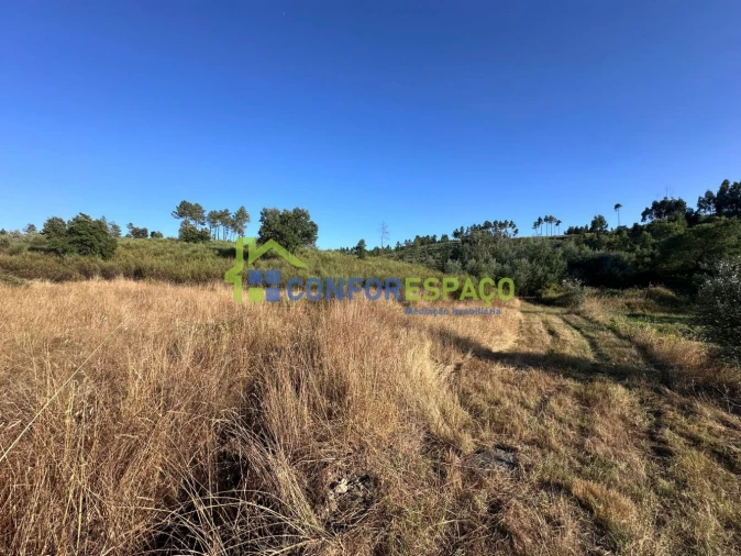 Quinta T1 para Venda em Salgueiro do Campo Foto 29