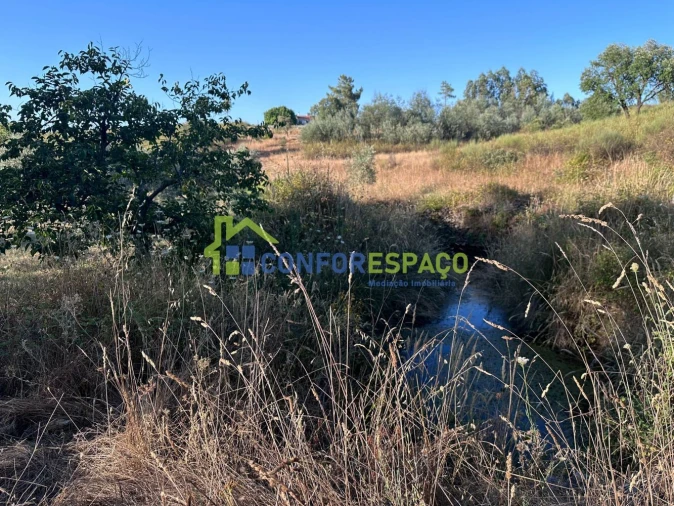 Quinta T1 para Venda em Salgueiro do Campo Foto 53