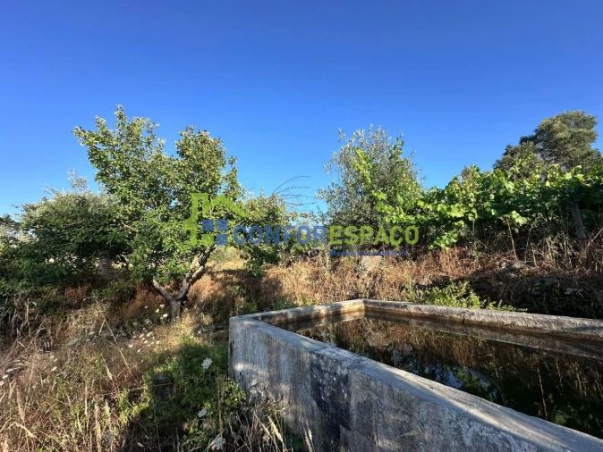 Quinta T1 para Venda em Salgueiro do Campo Foto 34