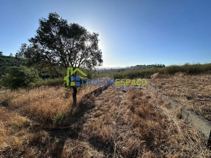 Quinta T1 para Venda em Salgueiro do Campo Foto 30