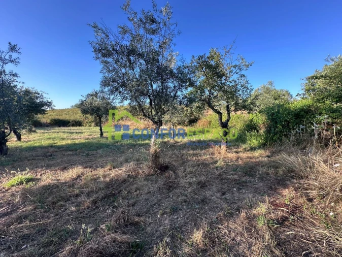 Quinta T1 para Venda em Salgueiro do Campo Foto 24