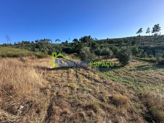 Quinta T1 para Venda em Salgueiro do Campo Foto 54