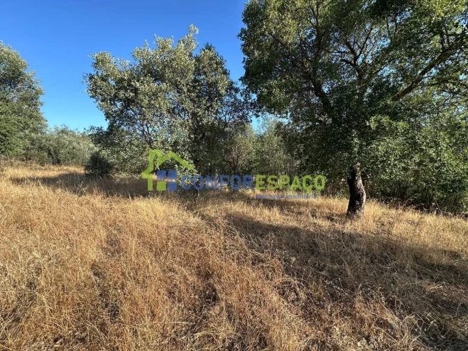 Quinta T1 para Venda em Salgueiro do Campo Foto 42