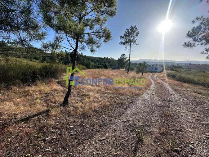 Quinta T1 para Venda em Salgueiro do Campo Foto 37