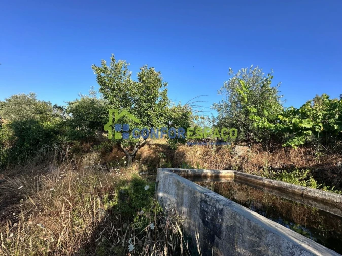 Quinta T1 para Venda em Salgueiro do Campo Foto 23