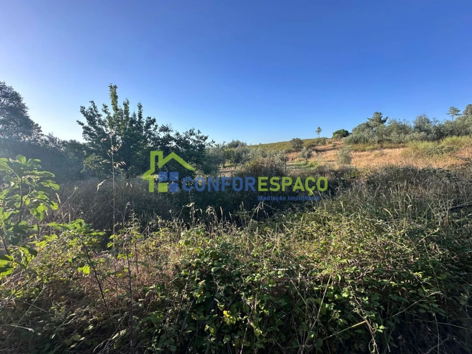 Quinta T1 para Venda em Salgueiro do Campo Foto 32