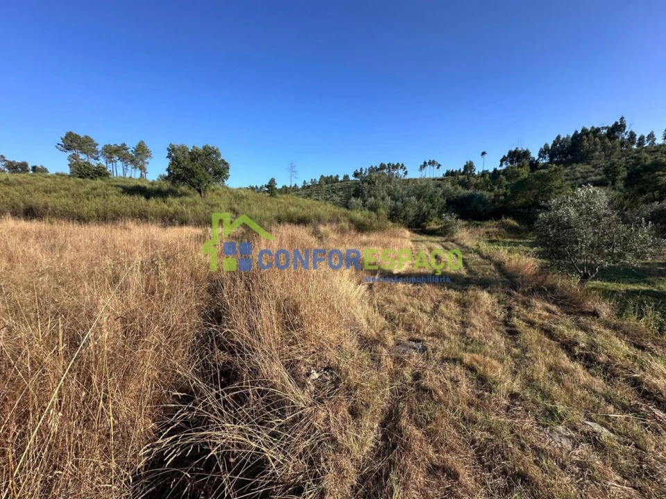 Quinta T1 para Venda em Salgueiro do Campo Foto 44