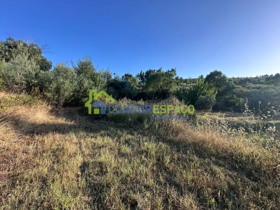 Quinta T1 para Venda em Salgueiro do Campo Foto 31