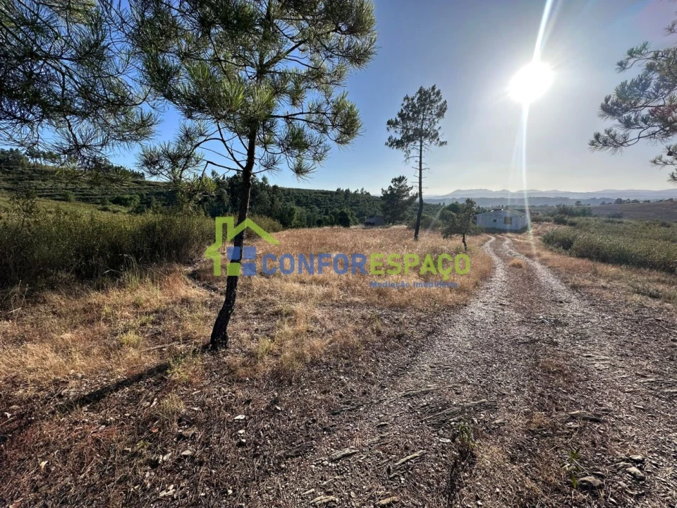 Quinta T1 para Venda em Salgueiro do Campo Foto 41