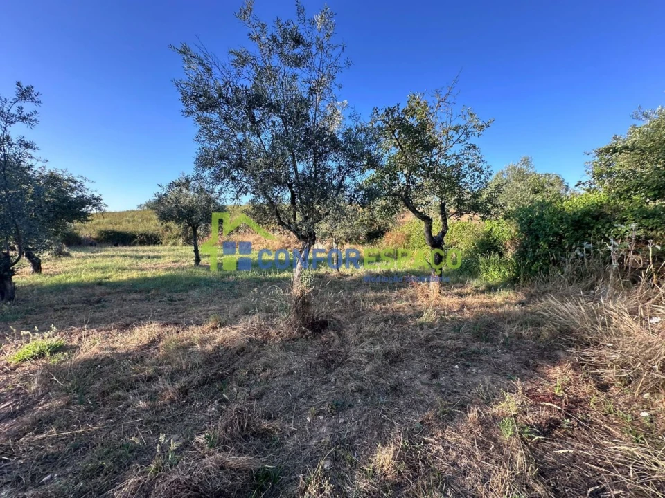 Quinta T1 para Venda em Salgueiro do Campo Foto 24