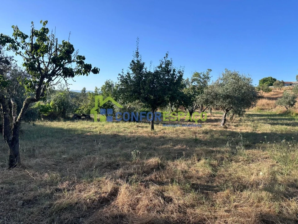 Quinta T1 para Venda em Salgueiro do Campo Foto 26