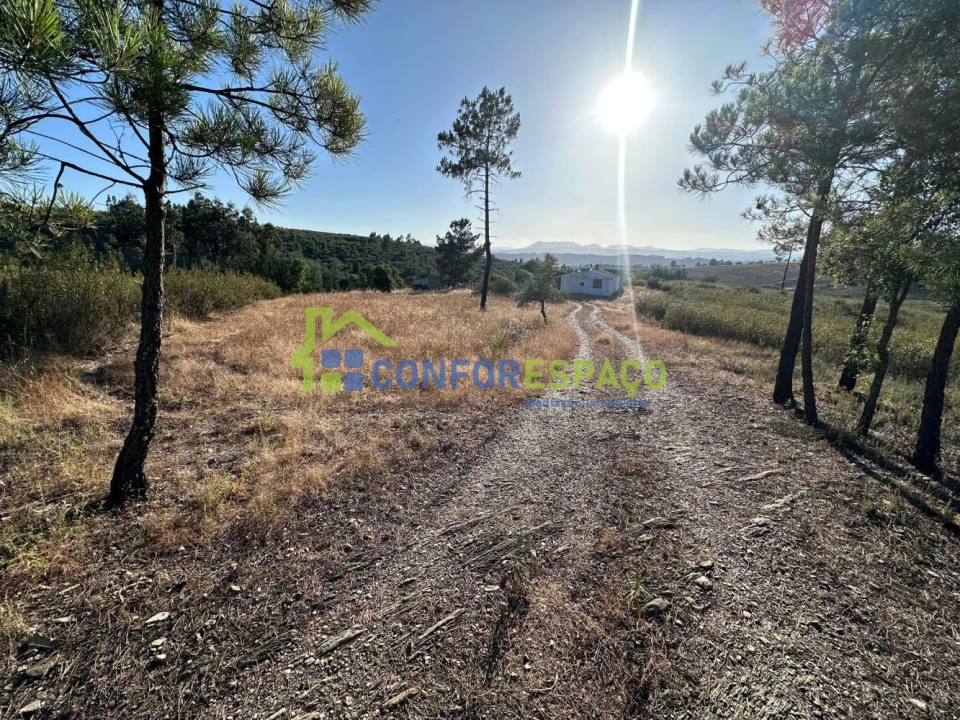 Quinta T1 para Venda em Salgueiro do Campo Foto 47