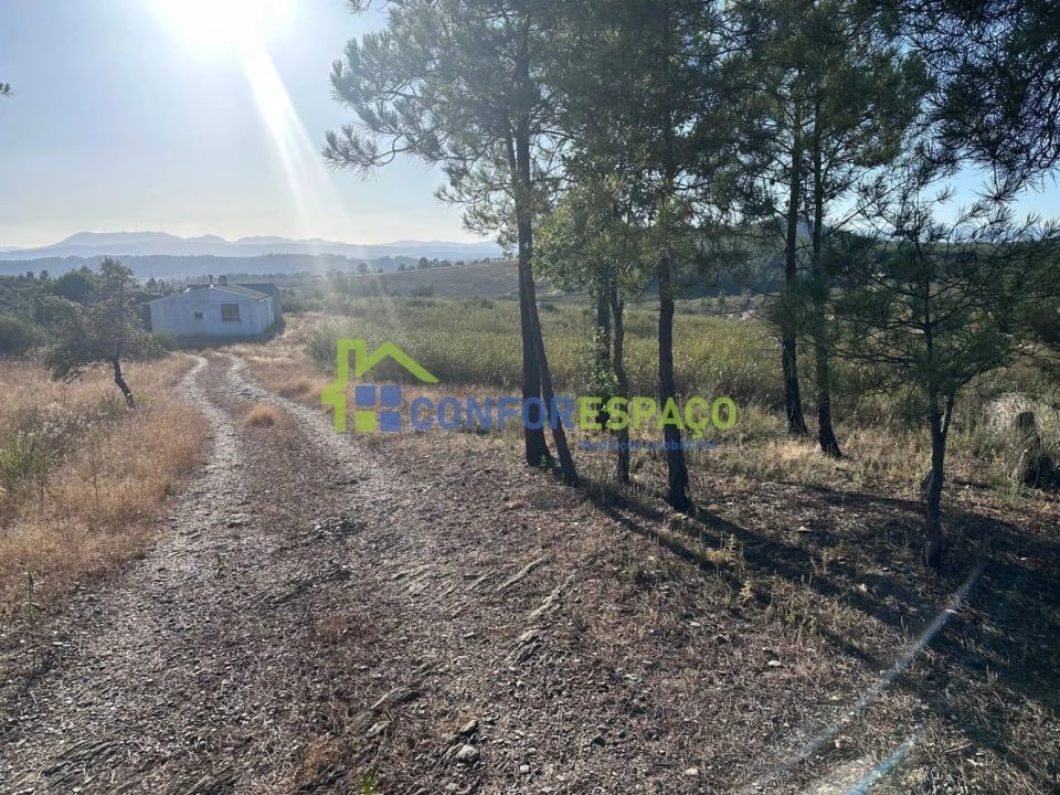 Quinta T1 para Venda em Salgueiro do Campo Foto 49