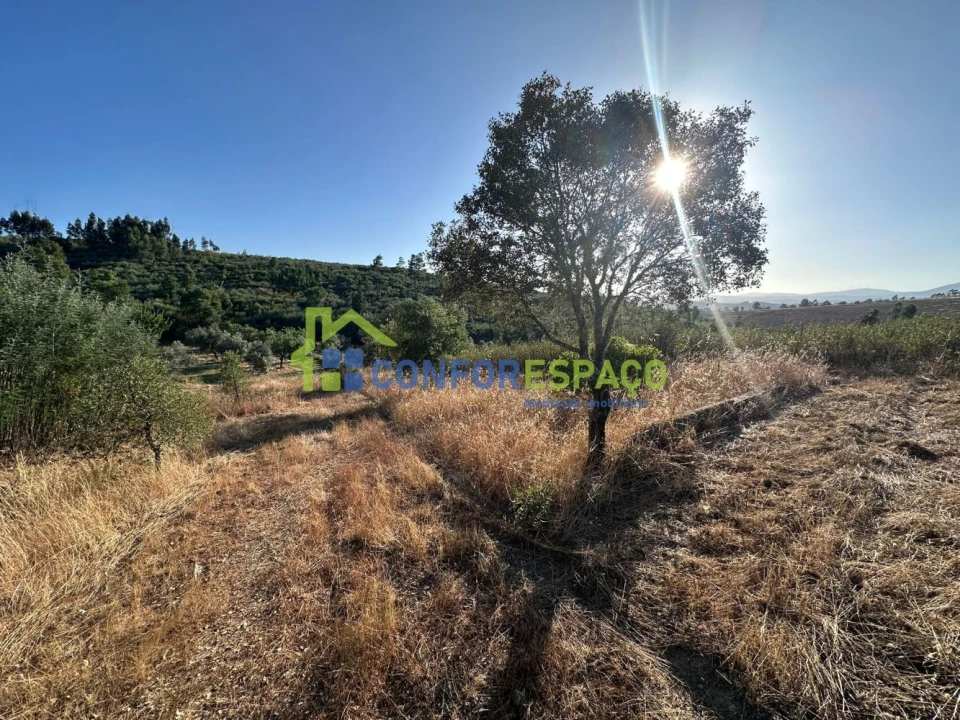 Quinta T1 para Venda em Salgueiro do Campo Foto 28