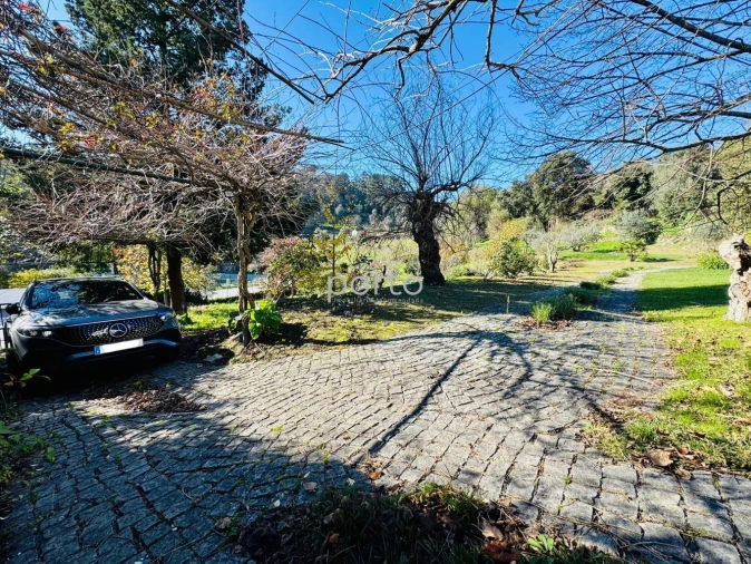 Moradia T3 para Venda em Santa Cruz do Douro e São Tomé de Covelas Foto 3