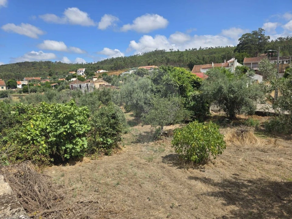 Moradia T6 para Venda em Mação, Penhascoso e Aboboreira Foto 6