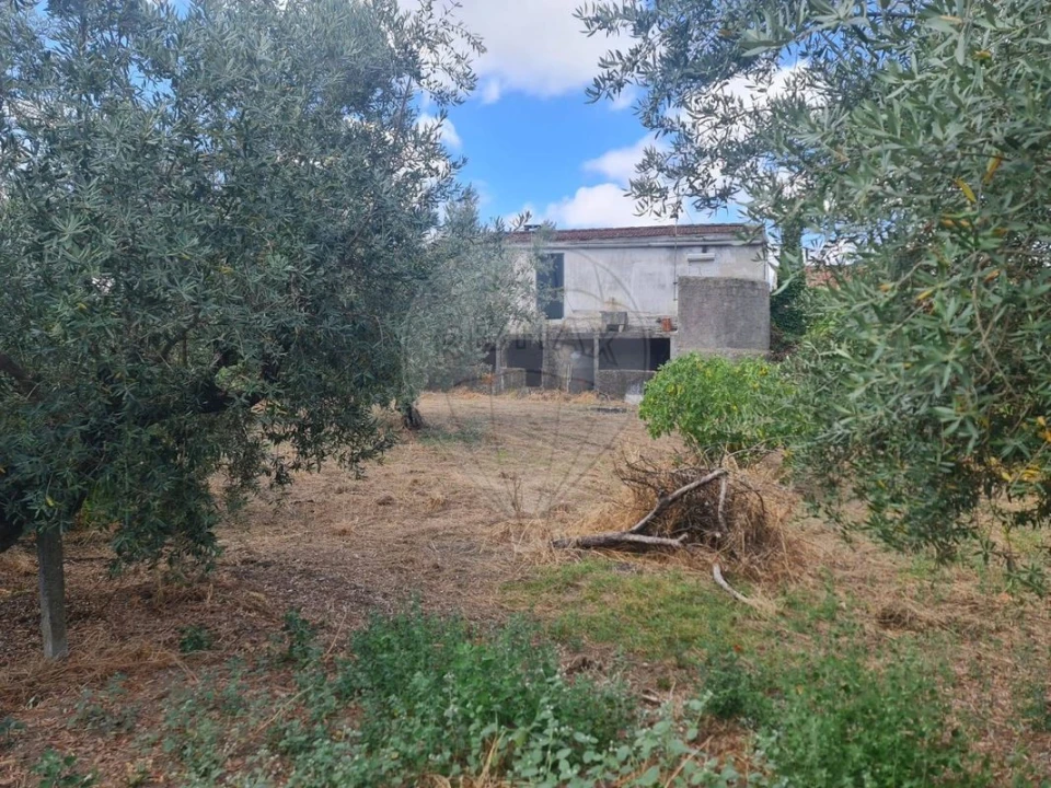 Moradia T6 para Venda em Mação, Penhascoso e Aboboreira Foto 3