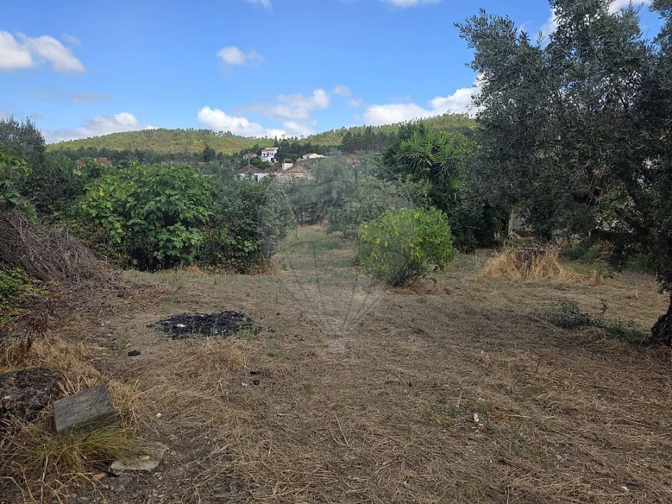 Moradia T6 para Venda em Mação, Penhascoso e Aboboreira Foto 17