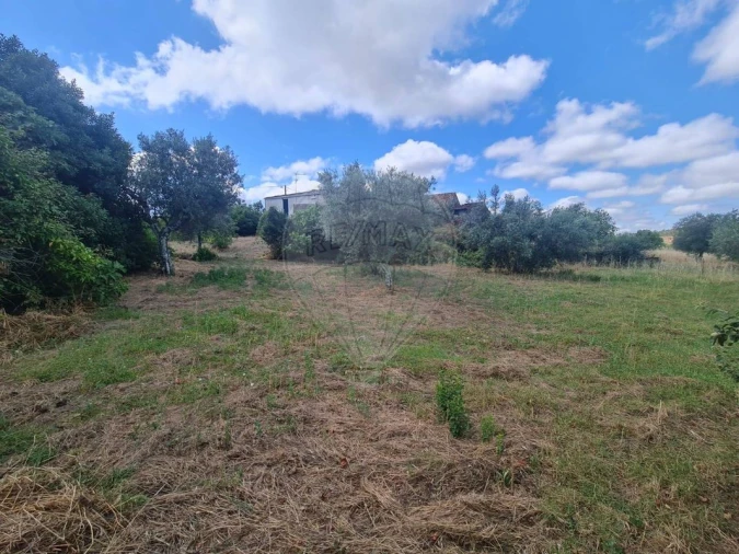 Moradia T6 para Venda em Mação, Penhascoso e Aboboreira Foto 19