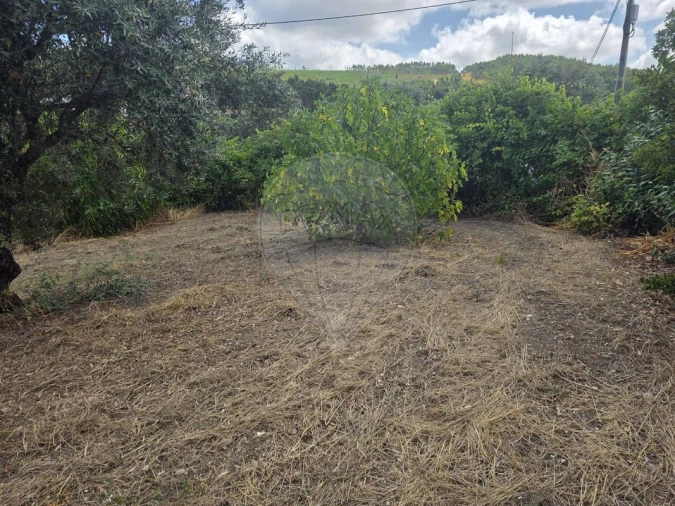 Moradia T6 para Venda em Mação, Penhascoso e Aboboreira Foto 16