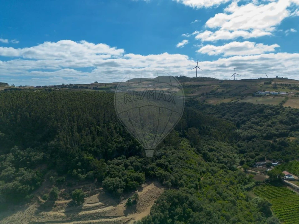 Moradia T2 para Venda em Santo Quintino Foto 5