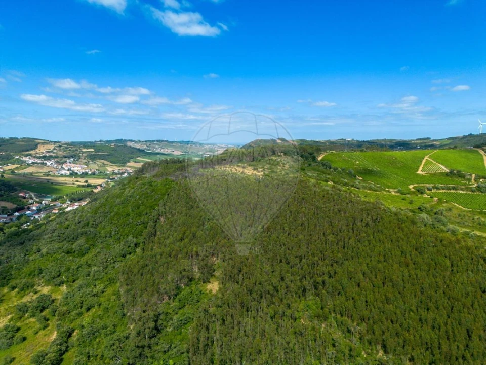 Moradia T2 para Venda em Santo Quintino Foto 4