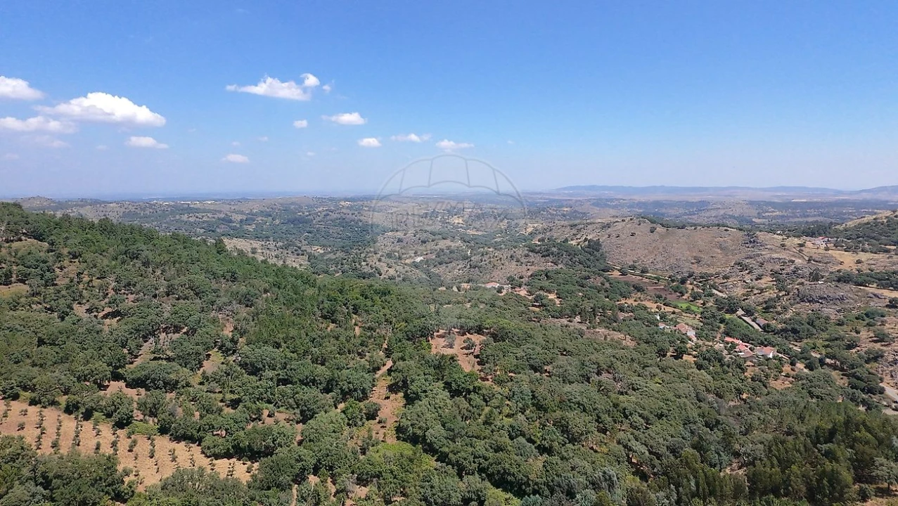 Terreno para Venda em Santa Maria de Marvão Foto 24