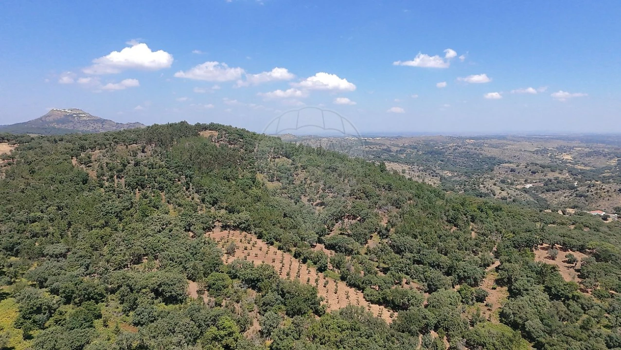 Terreno para Venda em Santa Maria de Marvão Foto 23