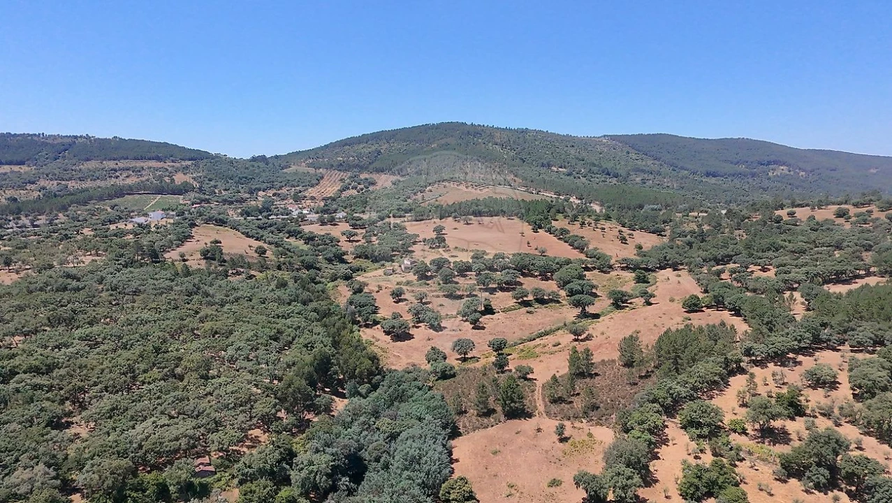 Terreno para Venda em Santa Maria de Marvão Foto 19
