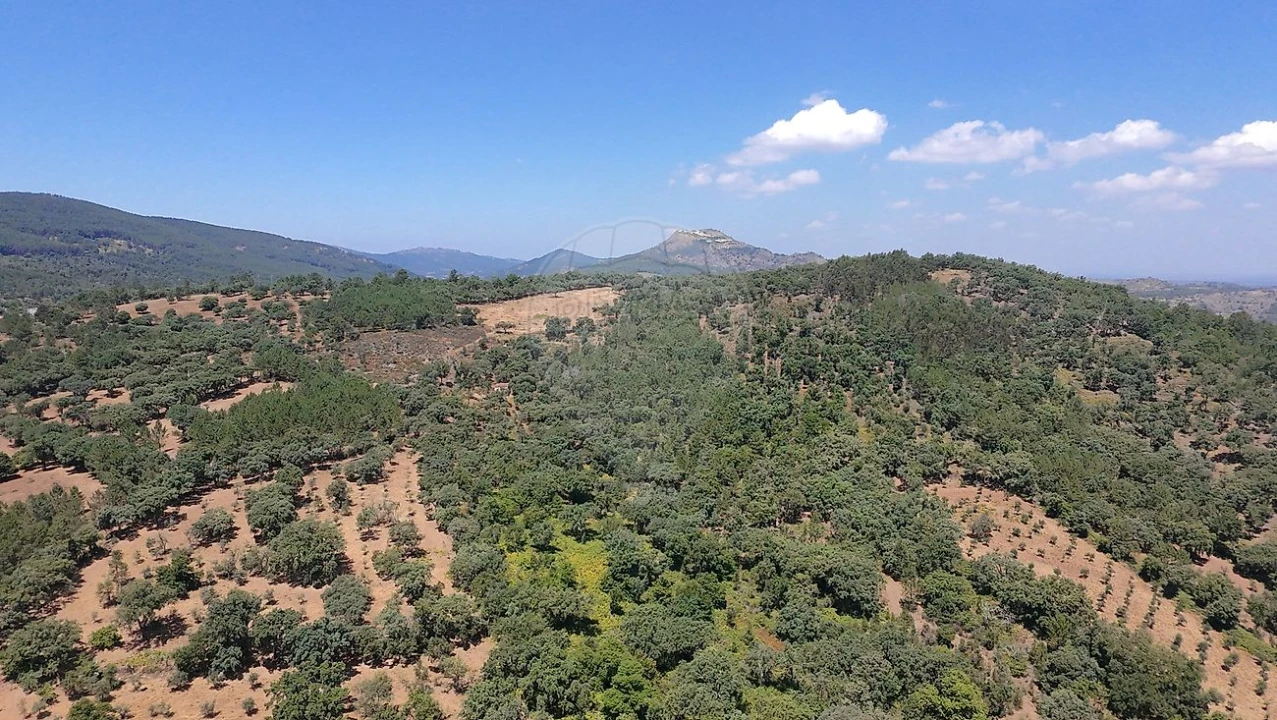 Terreno para Venda em Santa Maria de Marvão Foto 21