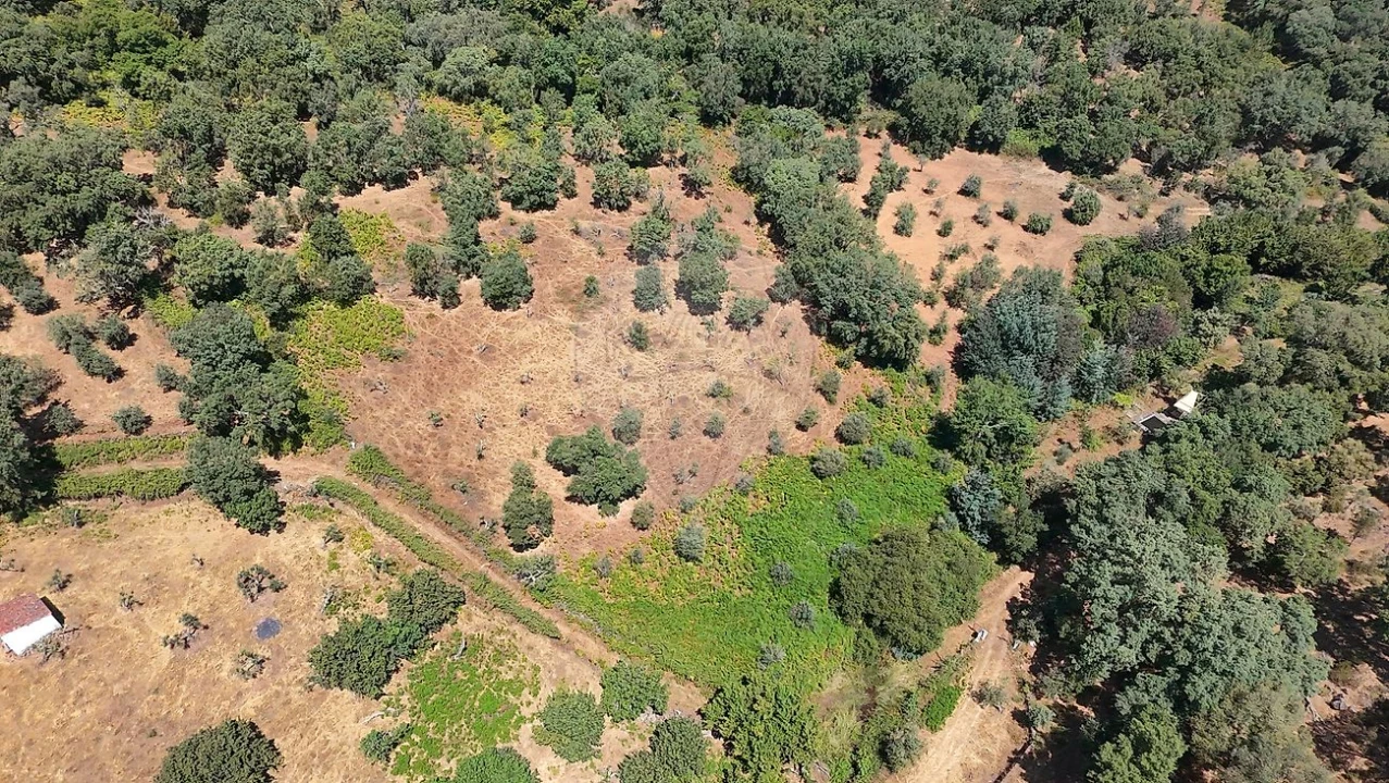 Terreno para Venda em Santa Maria de Marvão Foto 8