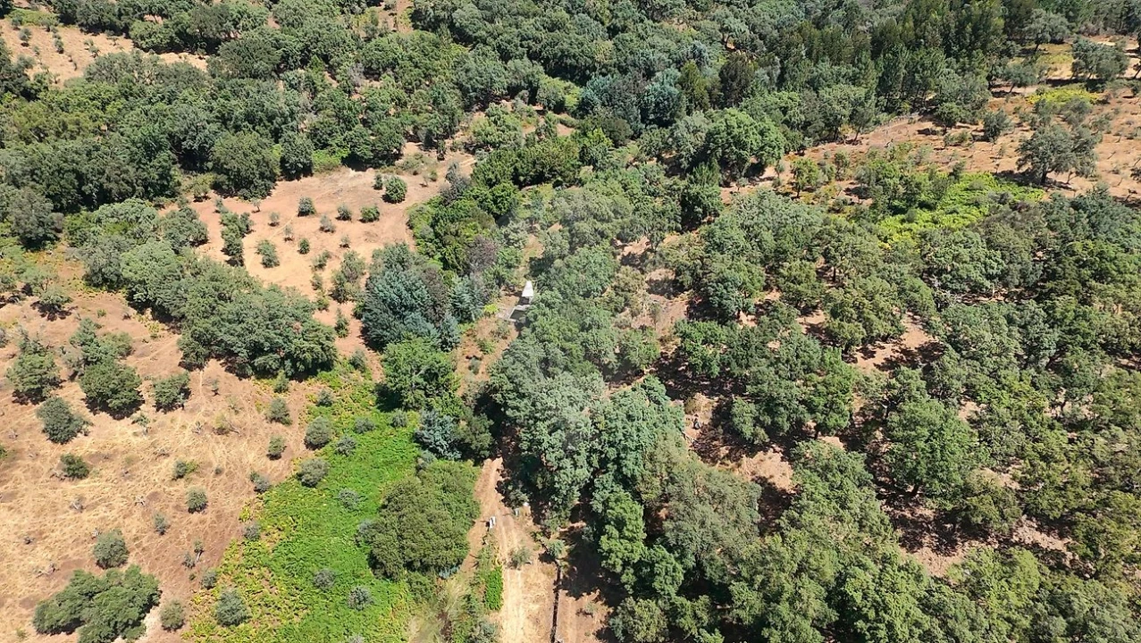 Terreno para Venda em Santa Maria de Marvão Foto 10