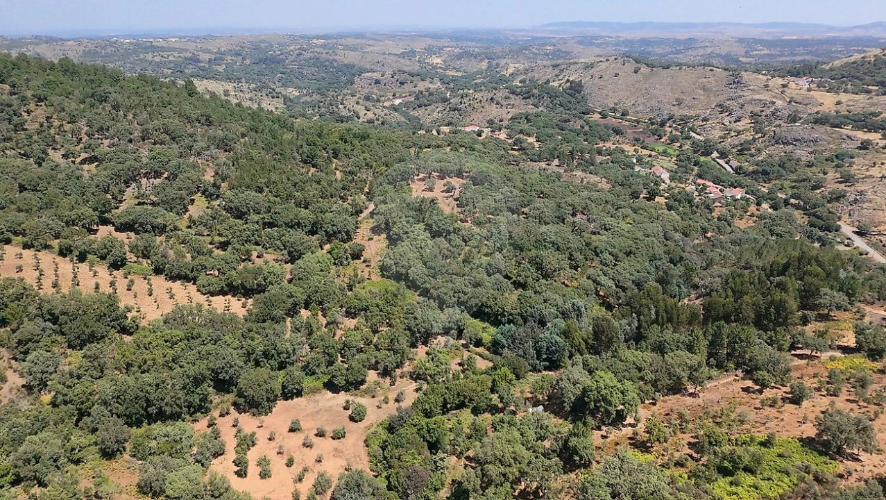 Terreno para Venda em Santa Maria de Marvão Foto 25