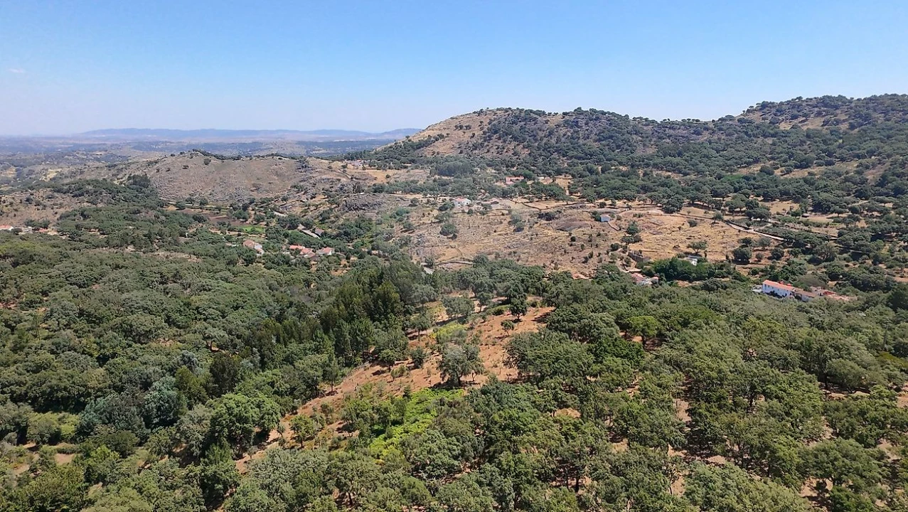 Terreno para Venda em Santa Maria de Marvão Foto 12
