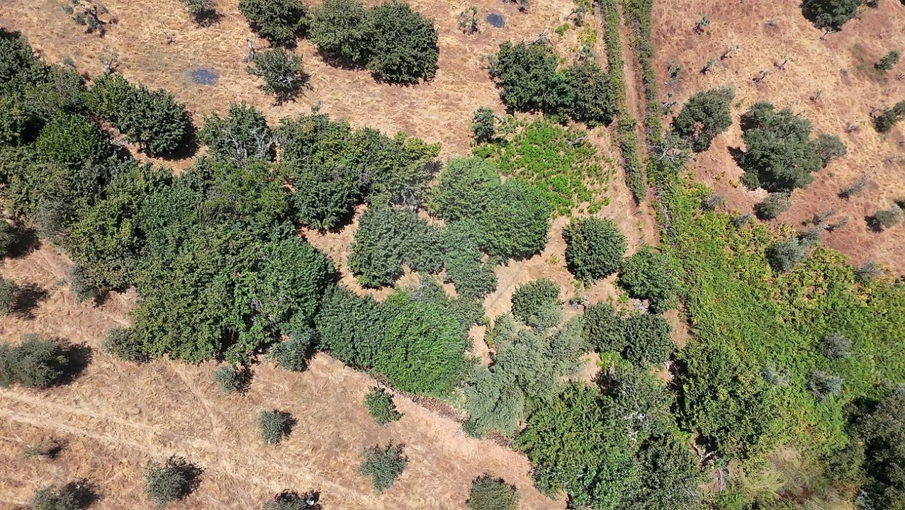 Terreno para Venda em Santa Maria de Marvão Foto 35