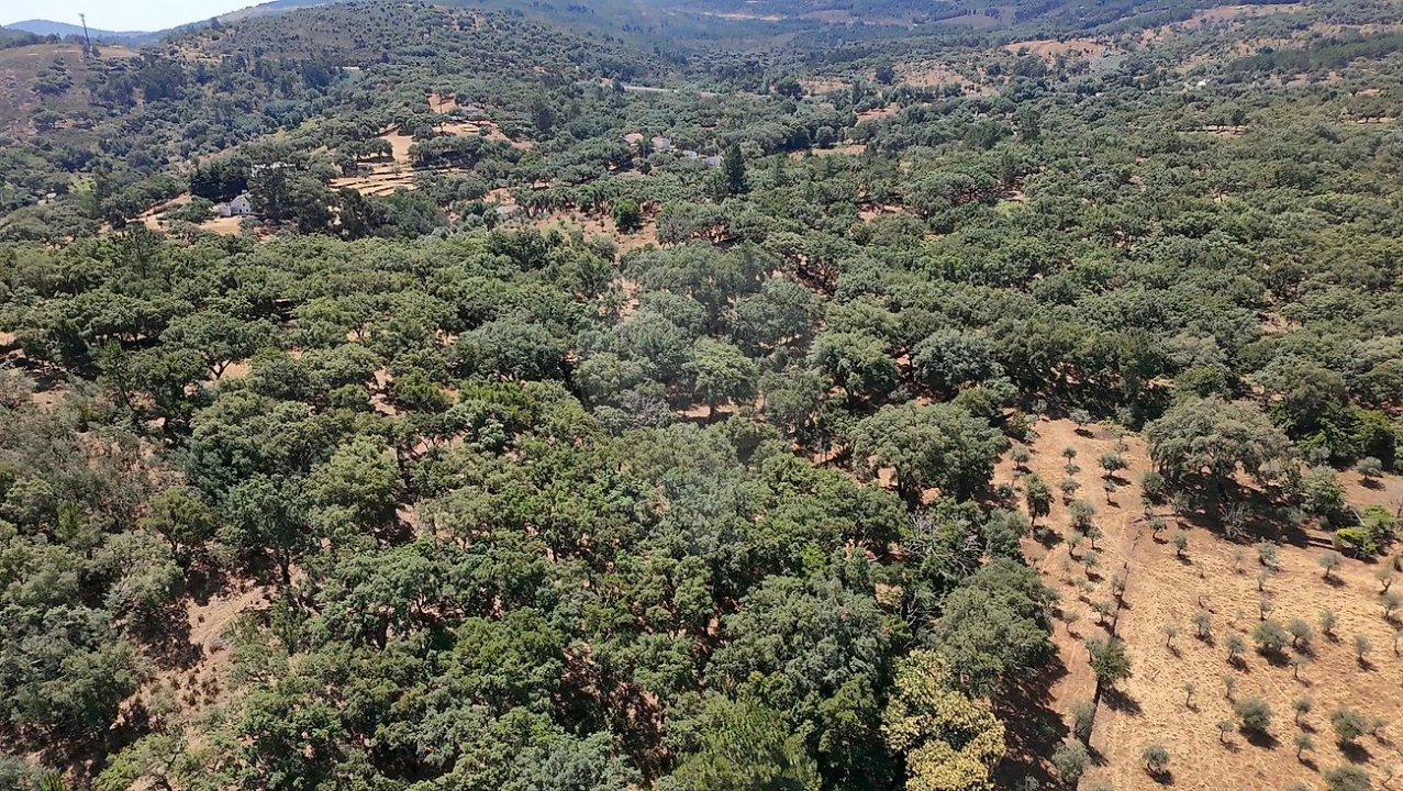Terreno para Venda em Santa Maria de Marvão Foto 16