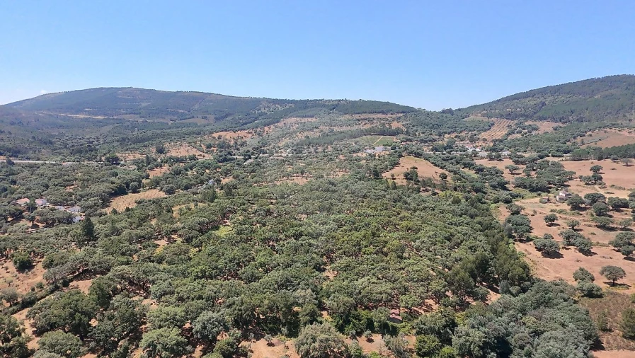 Terreno para Venda em Santa Maria de Marvão Foto 22